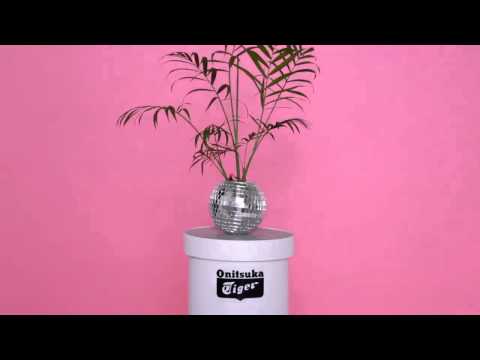 piscine extérieure luxe plage-immergée-terrasse-bois