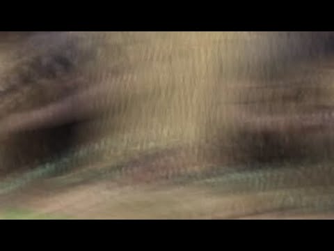 Der “Knochenknacker” exposed! ☠️