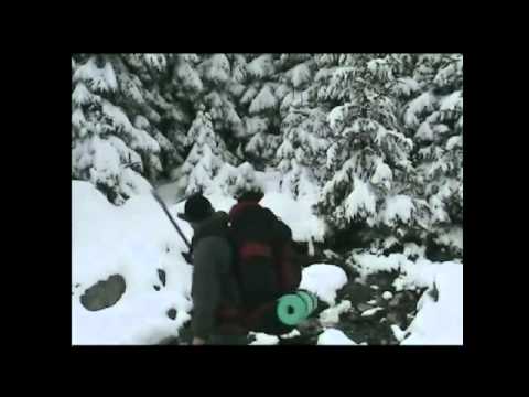 Pensiune Cheia - Cazat.ro