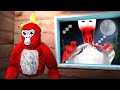 We Found The BOY IN THE BATH In Gorilla Tag