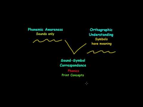 Precursor Skills for Reading