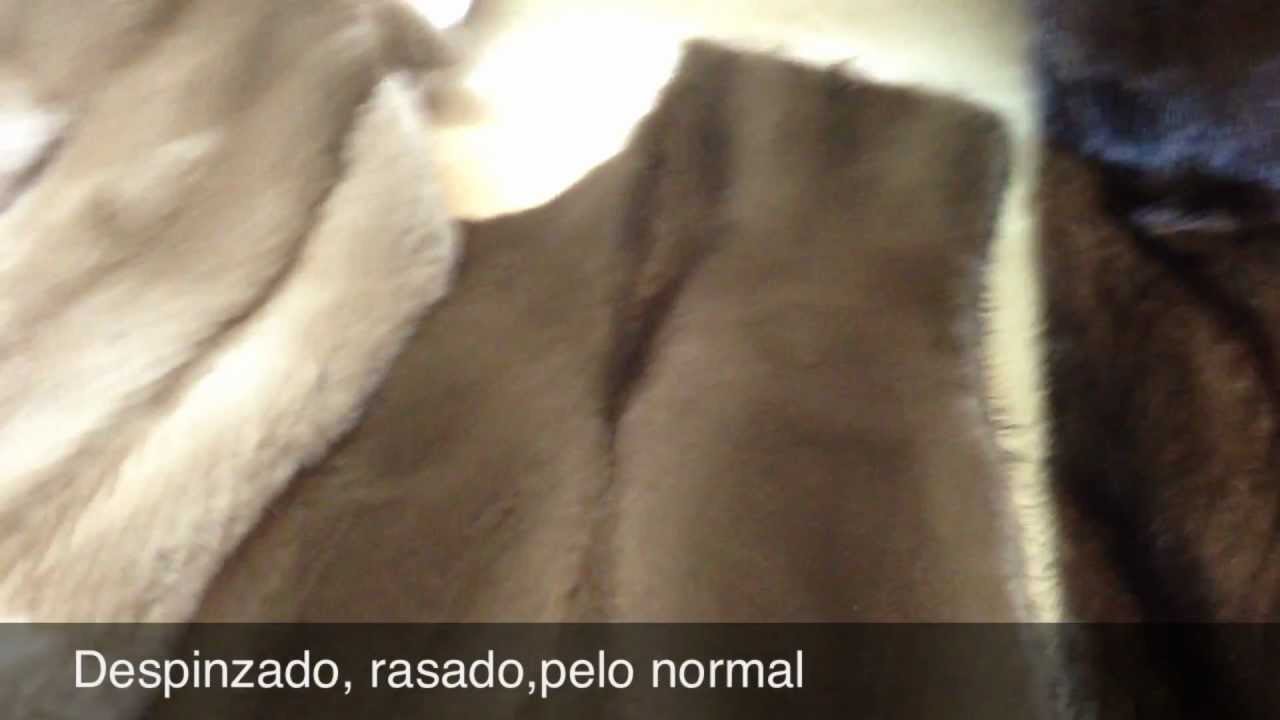 Diferencias entre rasar o despinzar un abrigo de visón.
