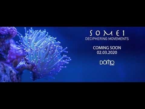 [DOMO2020003] SOME1 - Movement (Original Mix)