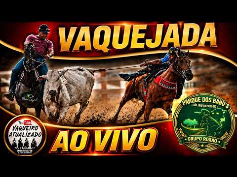 VAQUEJADA AO VIVO -  Parque dos Baru’s, em São João do Pacuí MG -