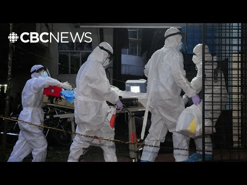 India reports 2 cases of deadly Nipah virus