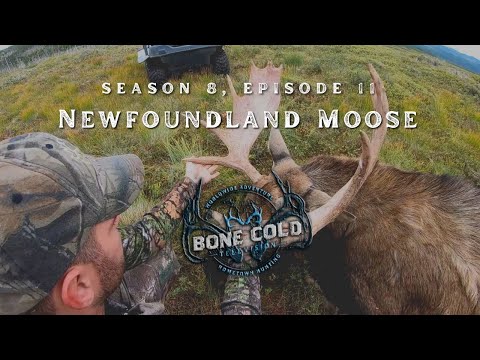 Season 8 Episode 11 Newfoundland Moose