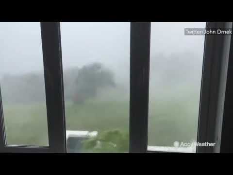 Extreme winds from CAT 3 Hurricane Nicole in Bermuda