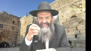 הרב ליאור גלזר פרשת פנחס "יביא אומר" רב מקדים הרב שמעון מועלם (דר וסוחרת - הלוויין של מרן) - התמונה מוצגת ישירות מתוך אתר האינטרנט יוטיוב. זכויות היוצרים בתמונה שייכות ליוצרה. קישור קרדיט למקור התוכן נמצא בתוך דף הסרטון הרב ליאור גלזר פרשת פנחס "יביא אומר" רב מקדים הרב שמעון מועלם (דר וסוחרת - הלוויין של מרן) - התמונה מוצגת ישירות מתוך אתר האינטרנט יוטיוב. זכויות היוצרים בתמונה שייכות ליוצרה. קישור קרדיט למקור התוכן נמצא בתוך דף הסרטון