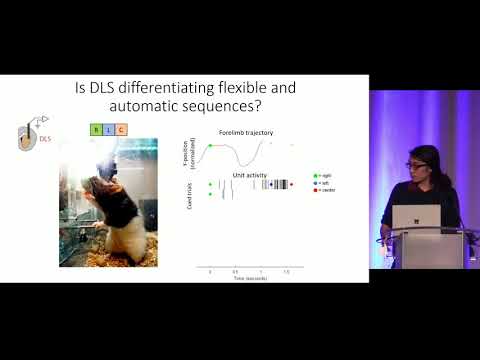 COSYNE 2020 - Session 7