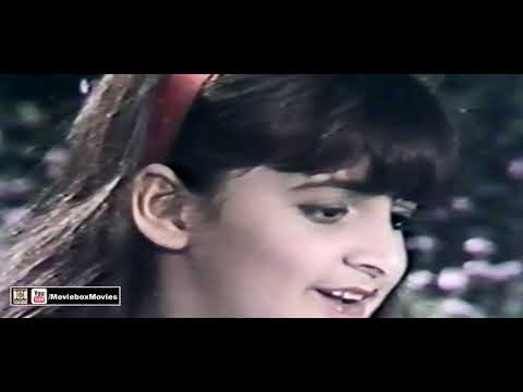 DO HANSA DA JORA UDDA JAVE - MUSARRAT SAMMI & HABIBA BEGUM - FILM PYAR KARAN TOU NAHIN DARNA