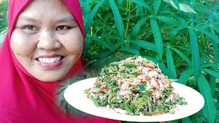 Download lagu CARA BUAT KERABU PUCUK PAKU BY KAK NUR@TIP KEKALKAN HIJAU PUCUK PAKU mp3 Download lagu CARA BUAT KERABU PUCUK PAKU BY KAK NUR@TIP KEKALKAN HIJAU PUCUK PAKU mp3