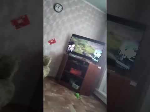 Andrius Klimka feat. Shuma - Waffentrager (World of Tanks OST) WoT Ваффентрагер Музыка