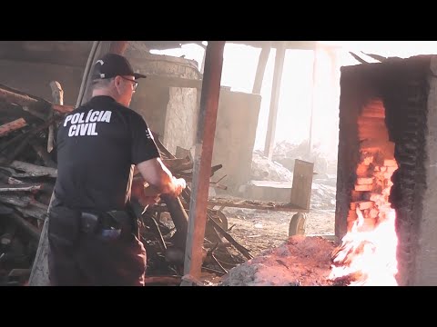 POLÍCIA CIVIL DO MARANHÃO INCINERA CERCA DE 924 KG DE SKUNK (SUPER MACONHA) EM BURITICUPU-MA21/11/25