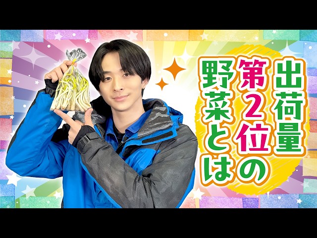 【全国2位の出荷量】澤夏がシャキシャキ食感の「アサツキ」を初収穫！