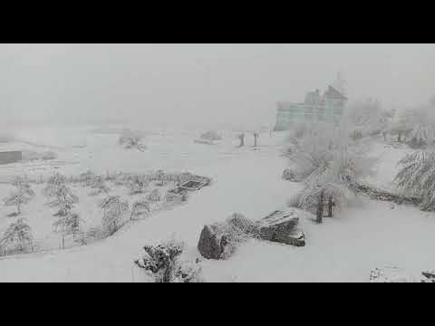 Snow intensifies cold in Himachal