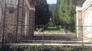 How to Design Fountains and Planting for Optimal Results