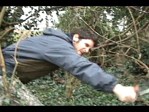 Extreme - Climate Hazard Evasion