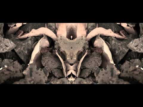 Fuzzy Logic - Guerilla Monsoon (Official Video)
