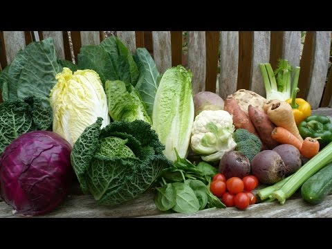 Safe Veggies For Guinea Pigs & Rabbit Vaccines