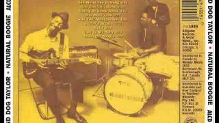 Hound Dog Taylor - See Me In The Evening