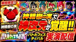【ドッカンバトル】ネ申次元カテゴリが神精樹の実で覚醒！『バトルフェスティバル』実演解説！【完全攻略】