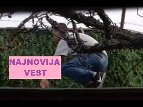 ŠOOOK UŽIVO - PRESKOČIO OGRADU - POBEGAO iz Zadruge - Prošao kroz ELEKTRIČNE ŽICE #zadruga #zadruga5