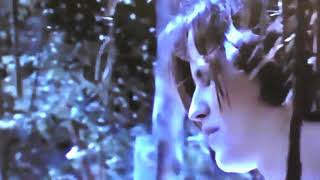 The Cranberries, Uncertain [video]