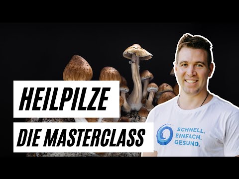 Heilpilze Masterclass 2023 🌲 Alles über Vitalpilze & Baumpilze mit Martin Auerswald [Mykotherapie]