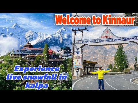 Kalpa Village in Winter ❄️ Snowfall Experience | suicide point