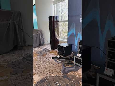 Mesmerized by the DALI EPIKORE 11’s ($60,000/pair) #audio #music #hifi #audiophile #speaker