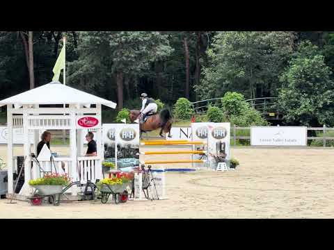 Showvideo 2