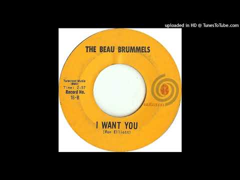 The Beau Brummels - I Want You - 45 Rip