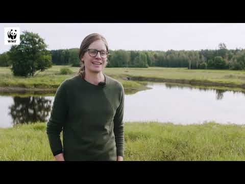 Hästgödsel är nyckeln till framgång för Årets Östersjöbonde 2021