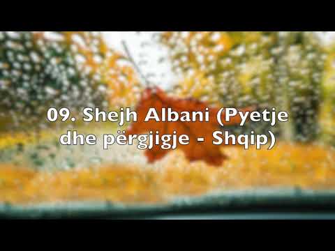 09. Shejh Albani (Pyetje dhe përgjigje - Shqip)