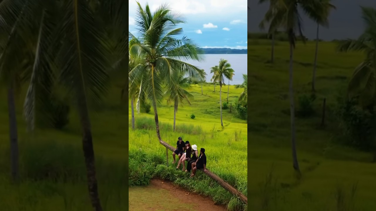 YouTube Short thumbnail