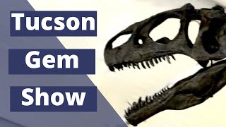 Tucson Gem Show Guide