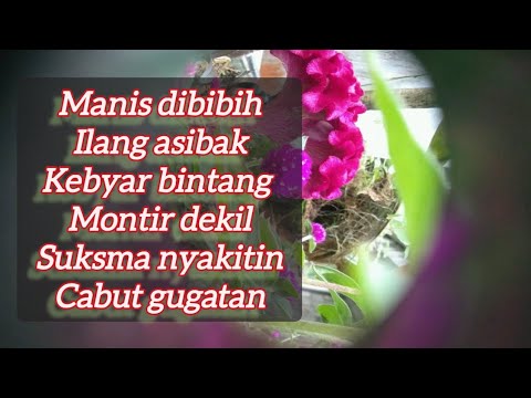Kumpulan lagu bali lawas 🔴 Manis dibibih, ilang asibak, kebyar bintang, montir dekil, cabut gugatan