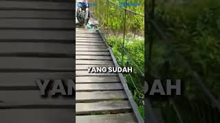 Download lagu MOTORCYCLE GETTING STUCK BY LEFT BY DRIVER, NEARLY FALLING OFF WOODEN BRIDGE mp3