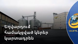 Եղվարդում կարտադրեն կոնցենտրատներ և համակցված կերեր՝ կենդանիների և թռչունների համար