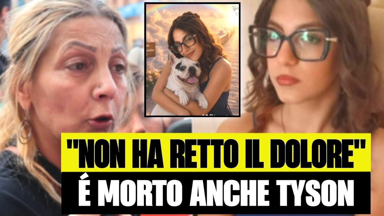 💔🐾 NEL GIORNO DEL PROCESSO UN’ALTRA NOTIZIA SCUOTE TUTTI: L’ADDIO A TYSON RIACCENDE IL DOLORE ATTORNO A MARTINA