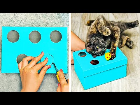 21 יצירות מלאכה וטיפים מדליקים לשדרוג החיים עם חיות מחמד