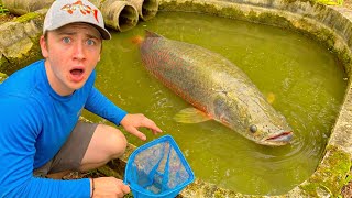 I Saved The POND MONSTER From Certain DEATH!