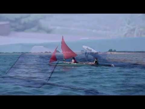 AMAZON II 600 XXL Expedition