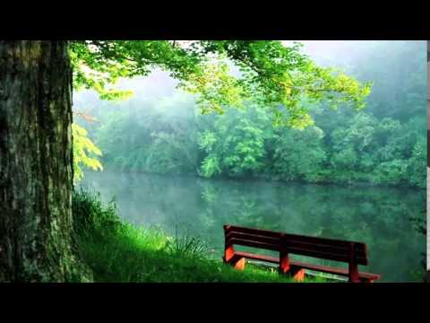 Mexhliset e Ramazanit - Mexhlisi i shtatë dhe tetë: Kategoritë e njerëzve në agjërim - 2