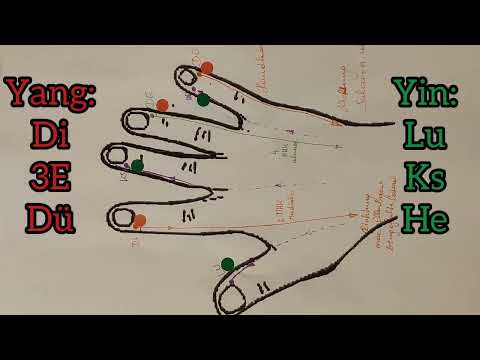 Meridiane einfach erklärt Teil 2 APM & Akupunktur für Anfänger. Meridiane der Hand Lu Di Ks De He Dü