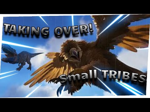 DOMINATING NEW LDL SMALL TRIBE SERVERS DAY 1