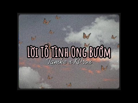 , title : 'Lời Tỏ Tình Ong Bướm - Tamke x KProx「Lo - Fi Ver.」/ Audio Lyrics Video'