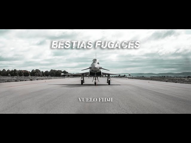 Bestias fugaces