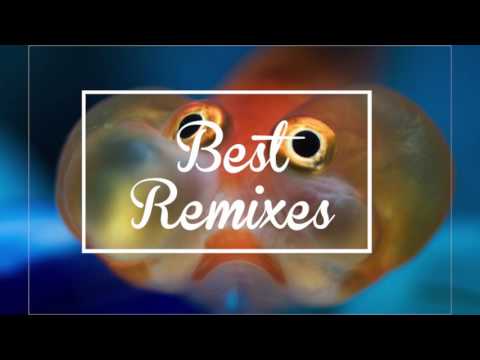 IMKK - Every Breath You Take ft. Jess Smyth (Police Cover/Remix)