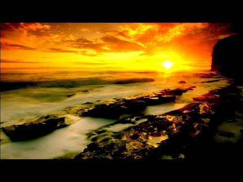 The Flower Kings - The Big Puzzle (Video Clip)